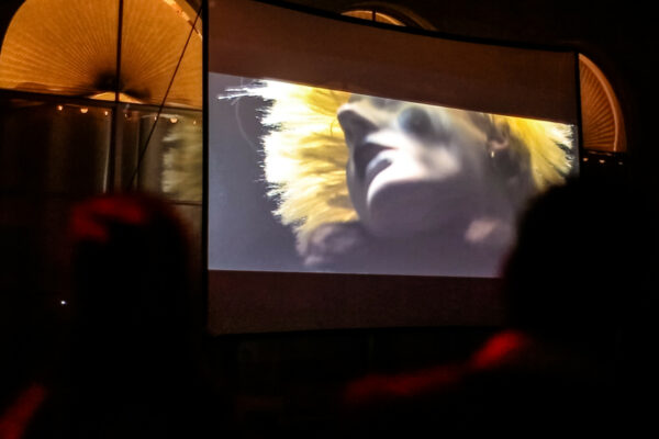 HDD_4DfilmFest_319